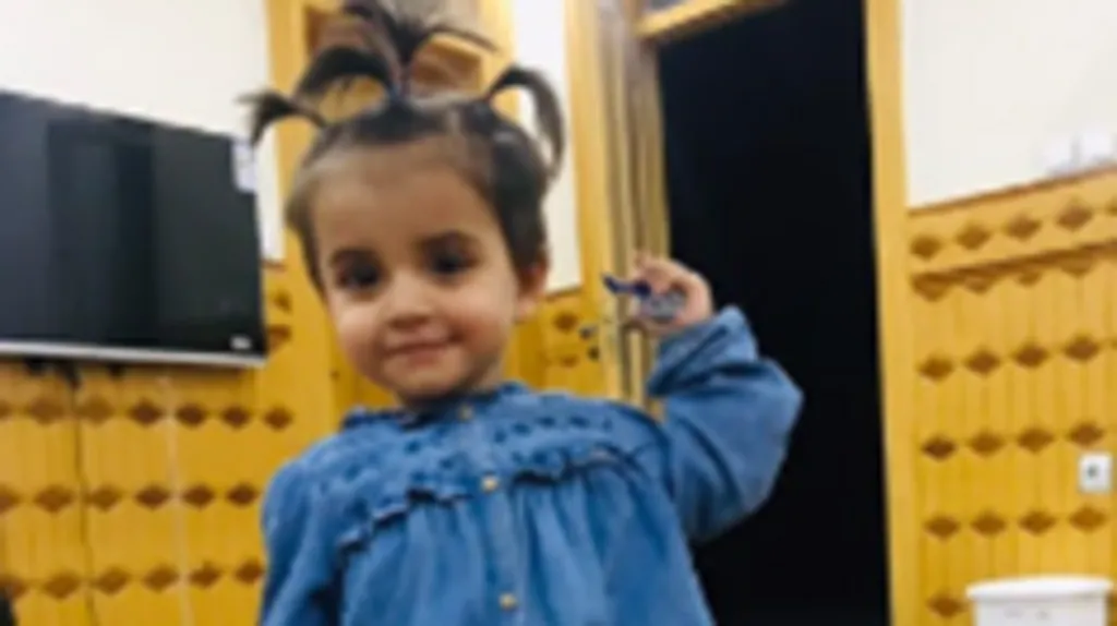 Young child with bunches in her hair and blue denim dress.