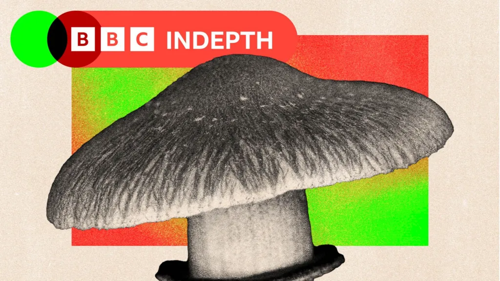 Debate on using magic mushrooms to treat depression in the NHS