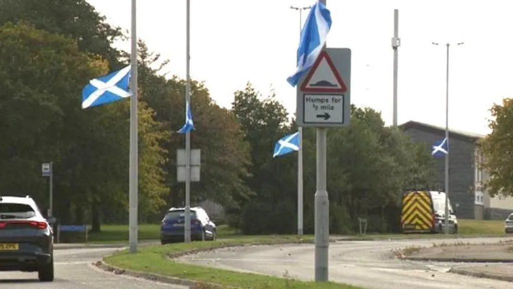 Council searches for contractor to remove flags