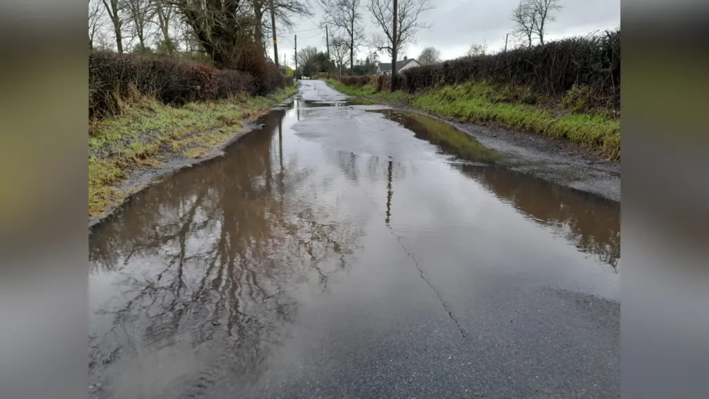 Water sitting on a country road. Hedges are on both sides of the road. Trees  are bare. 