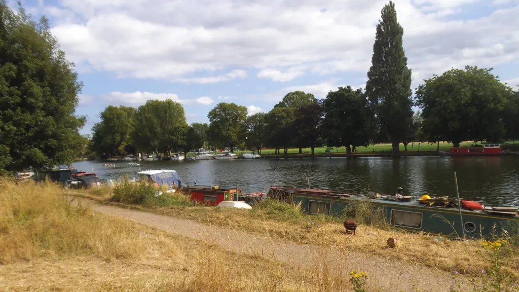 The river in summer, with yellowing grass and boats.