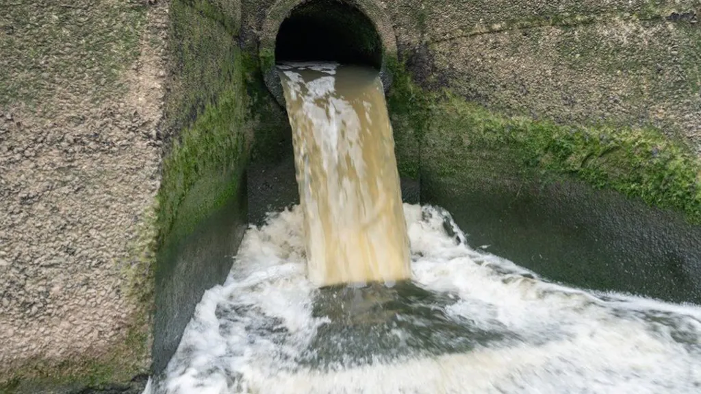Efforts to Address Sewage Pollution in Water Reform