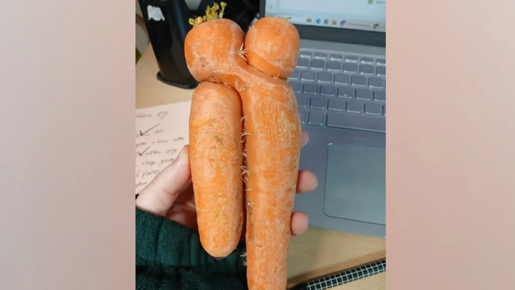 Adorable carrot project gains popularity at food waste reduction center