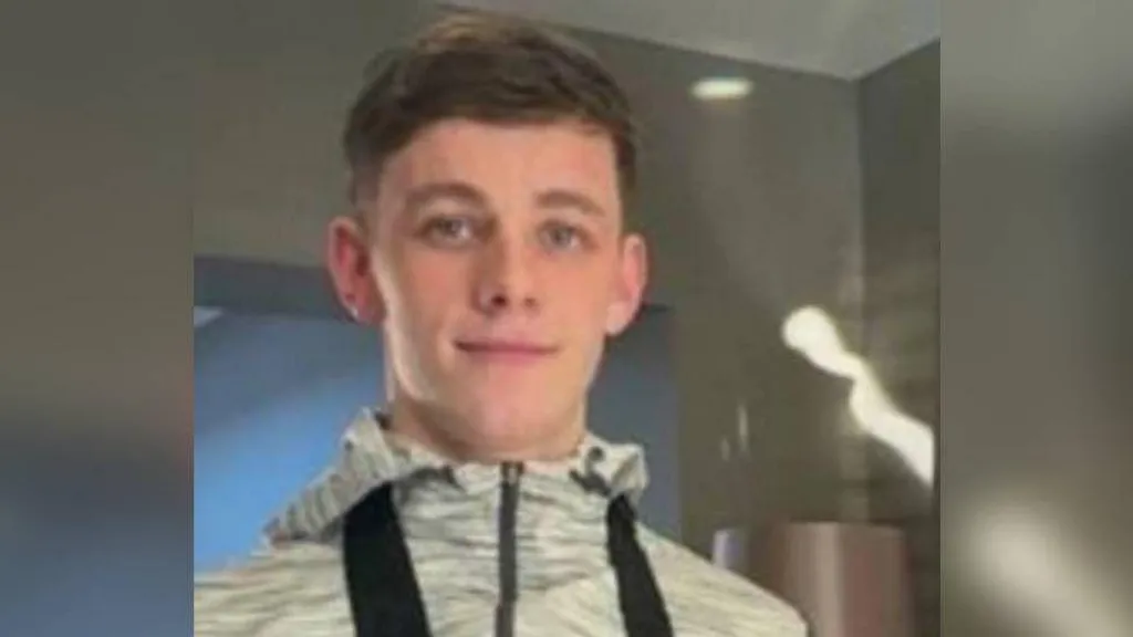 Court hears teenager fatally stabbed with zombie knife