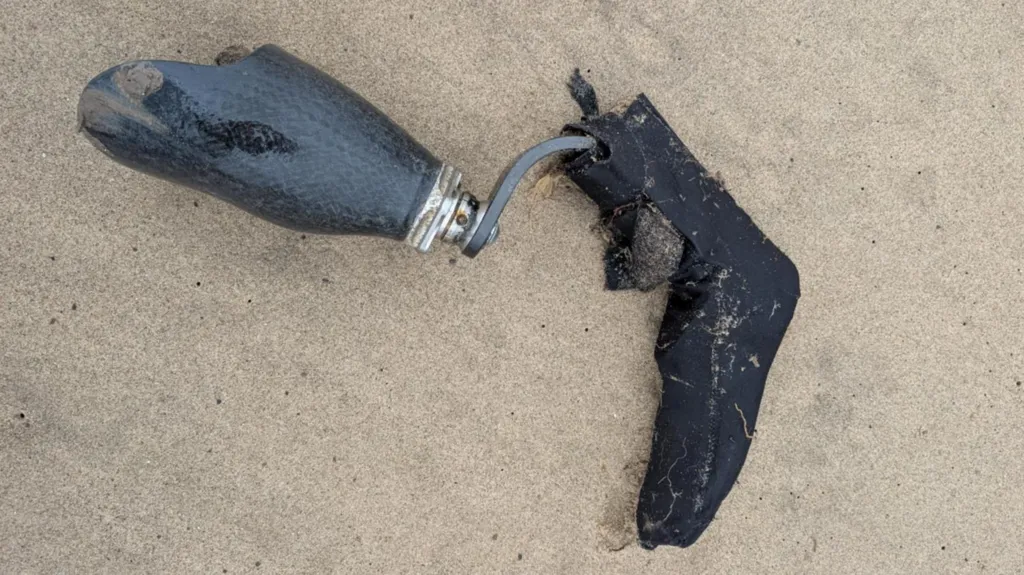 Prosthetic leg lost at sea reunited with its owner
