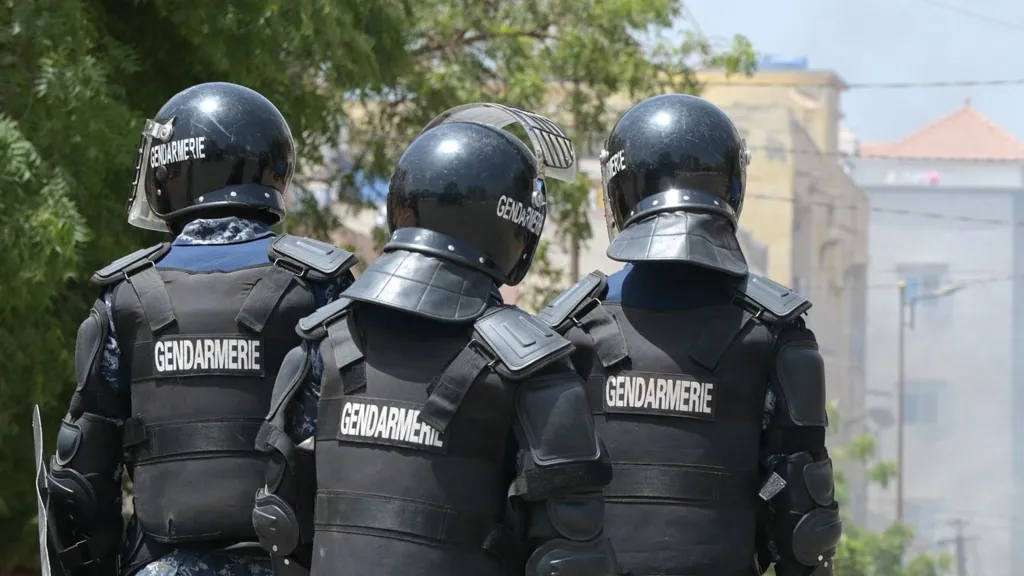 Senegal arrests 14 alleged members of paedophile gang with French ties