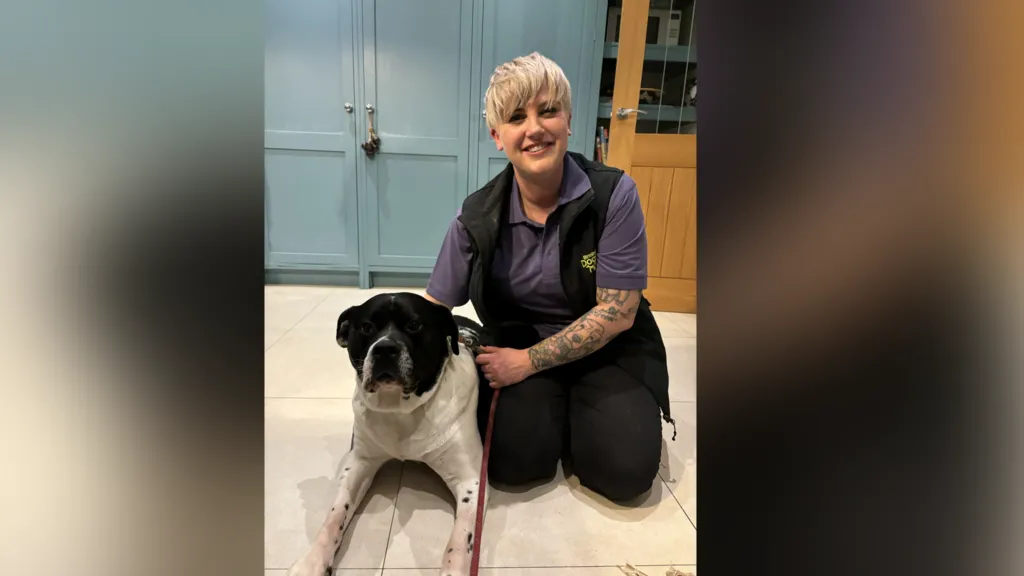 A woman with short blonde hair kneels next to a large black and white dog that is lying down. 