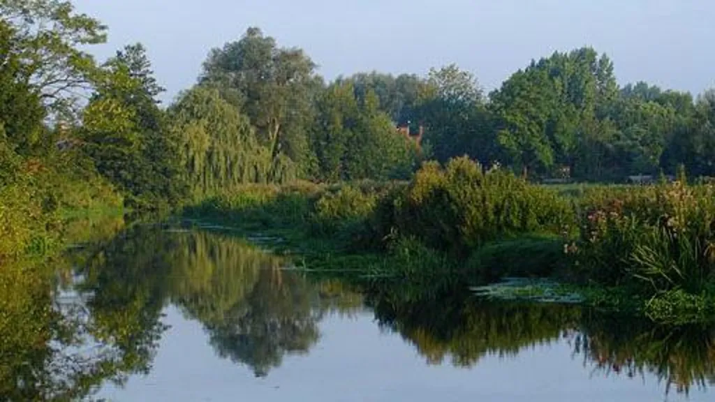 Bungay's river looking flat, with clear reflections of trees