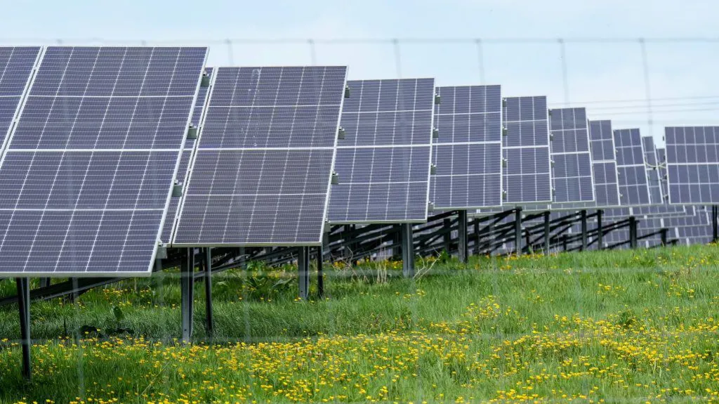 Record-breaking renewables auction leads to surge in new solar farms