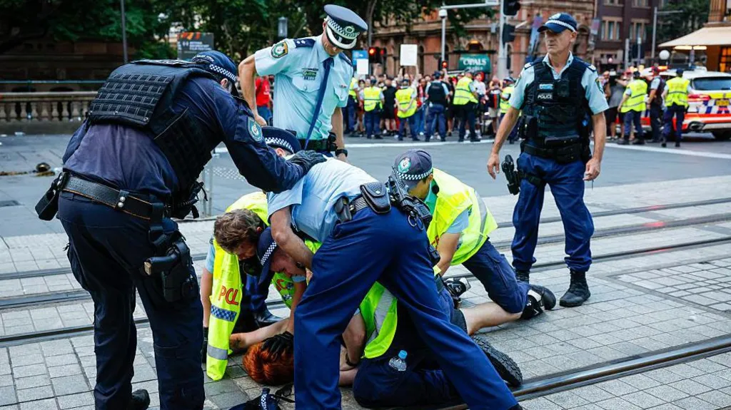 Watchdog to probe Sydney police over handling of violent anti-Herzog demonstration